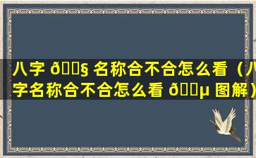 八字 🐧 名称合不合怎么看（八字名称合不合怎么看 🐵 图解）